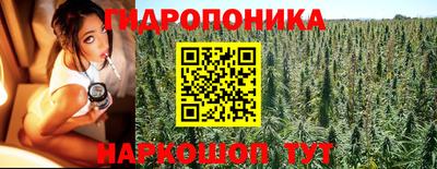 apvp Будённовск
