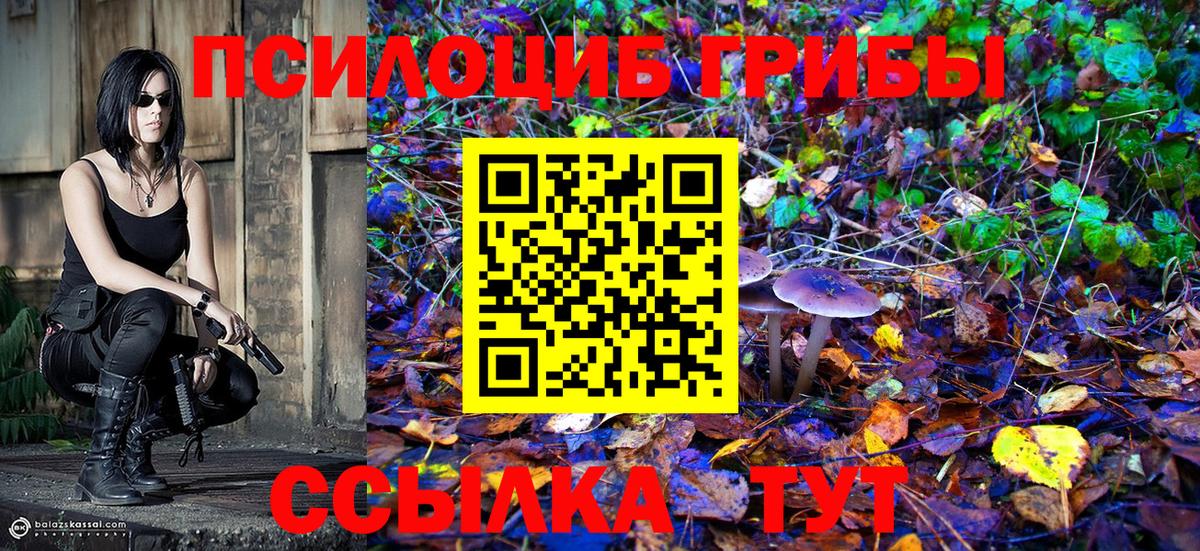 цена наркотик  Вход с VPN  Псков  Галлюциногенные грибы ЛСД 